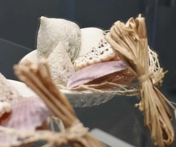 Апартаменти Vistas De Estibali *