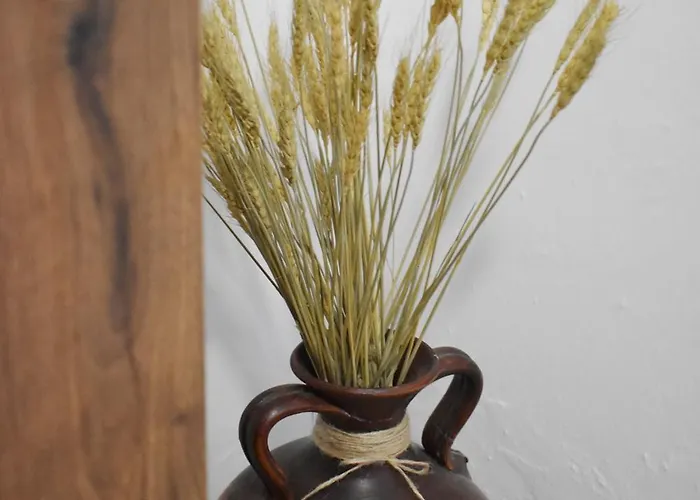 Vistas De Estibali Апартаменти Коніль-де-ла-Фронтера