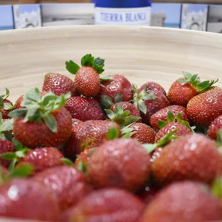 Apartment Vistas De Estibali *